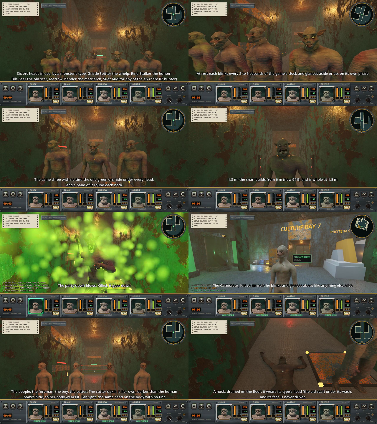 Eight game screenshots in a grid. Orcs in a corridor, a close-up of an orc with a snarl, a body with a green tint, a monster in a cloud of poison, a bald NPC, three humans in a row and a husk on the floor.