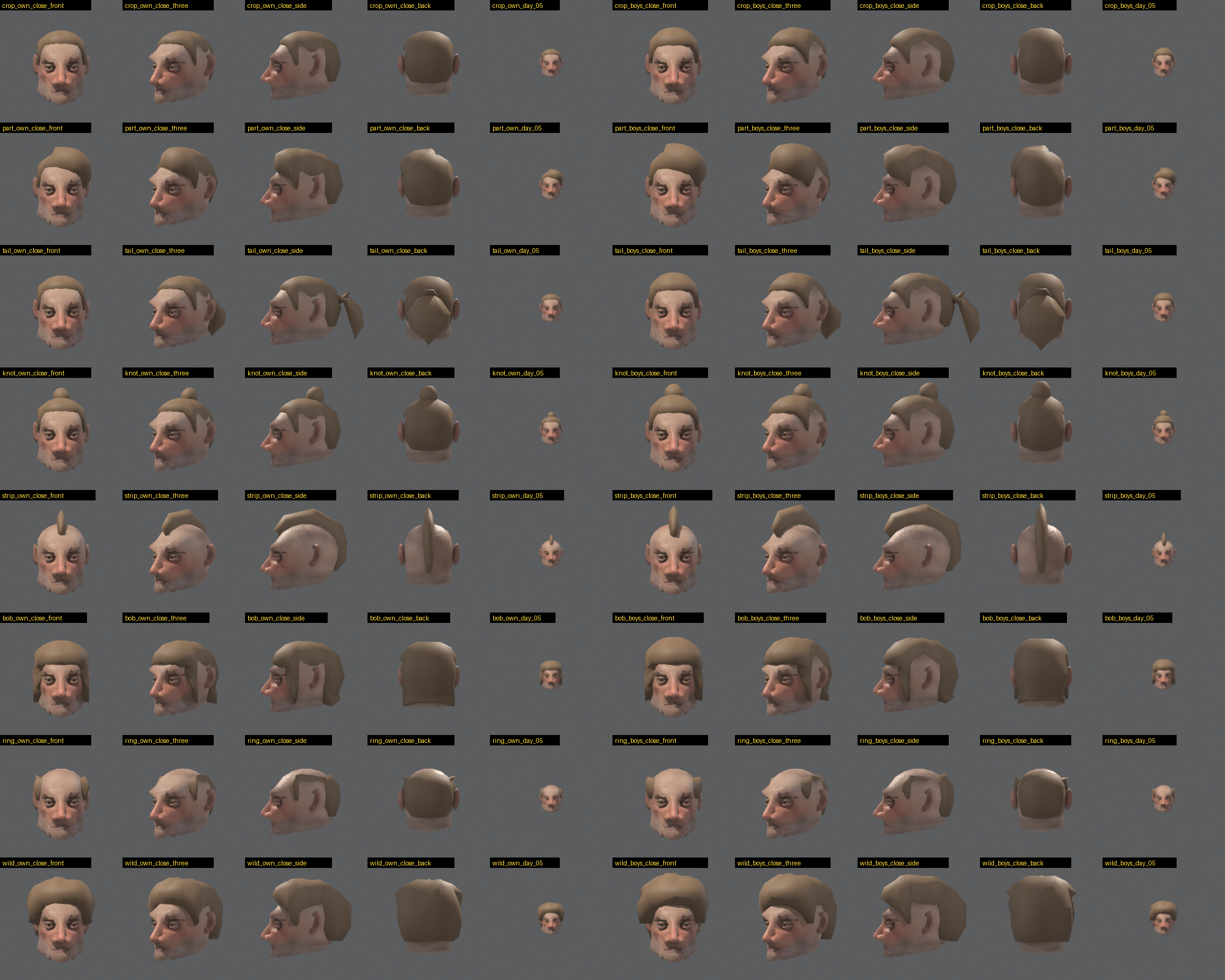 A grid of bearded human heads in nine hairstyles, each shown from five angles twice, with small captions. The two columns look almost the same.