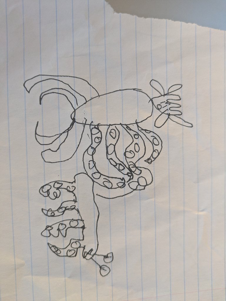 A pen drawing on lined paper of a creature with a large oval body, long curved horns on one side, rows of tentacles with ring-shaped suckers, and short splayed digits at the bottom.